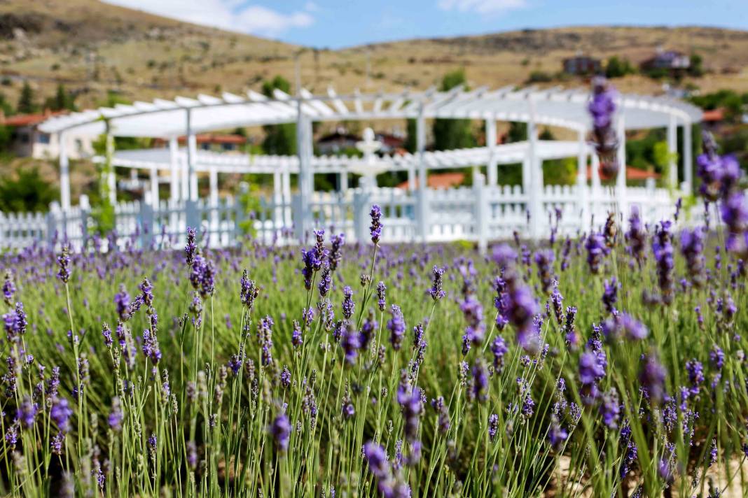 Konya’nın yeşiliyle ünlü ilçesi Meram’da yaz masala dönüşüyor 25